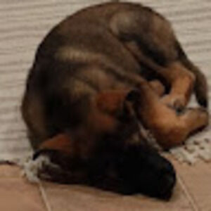 Meet your Posher, Avery